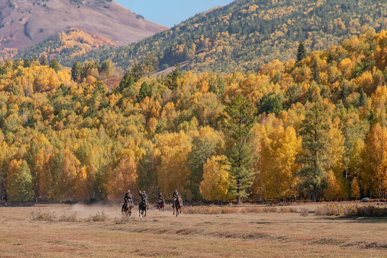 Dynamic fall scene with horse riders and colorful forest backdrop.